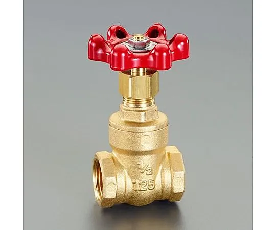 64-7858-04　Gate Valve (brass) Rc 1/2 "　EA470DF-4
