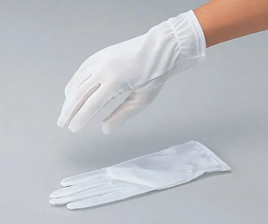 6-8197-01　［Discontinued］Quality Control Glove S 10 Pairs　3960B