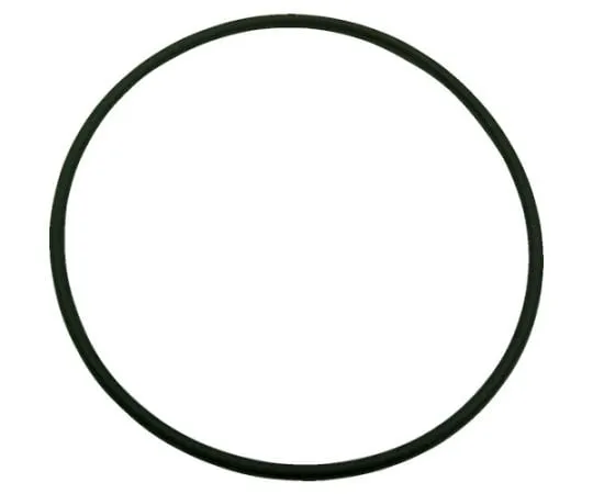 61-2045-81　O-Ring (FKM) Inner Dim. 24.4, Wire thickness 3.1, 4D G-25 (5Pcs)　4D-G25