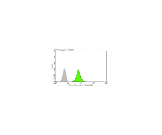 62-8375-20　Anti-FXR1, clone 6BG10; 100 μg　05-1529