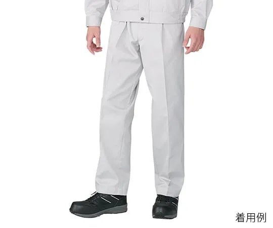 3-844-01　Two-Tuck Pants Silver　80501-036-70