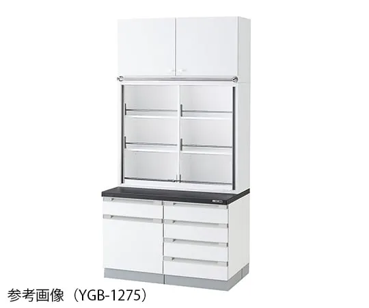 3-5775-11　Chemical Instrument Cabinet 900 x 400/750 x 2400mm　YGB-975