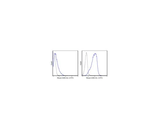 62-8512-27　Anti-CD86 (B7-2) (mo***), FITC, clone GL-1　MABF724