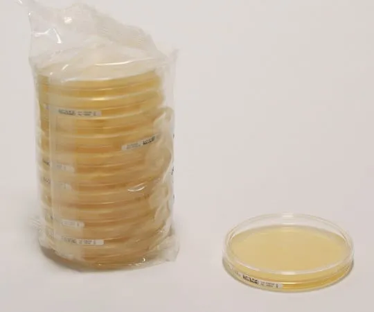 61-0191-04　Sabouraud Glucose (4%) Agar W.Lthth LI 30mL(20) 146052 20PACK　1.46052.0020