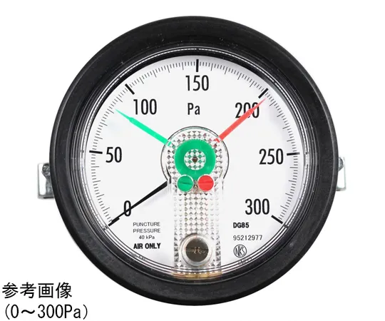 65-4307-19　Differential Pressure Gauge 100 Pa　DG85-29B