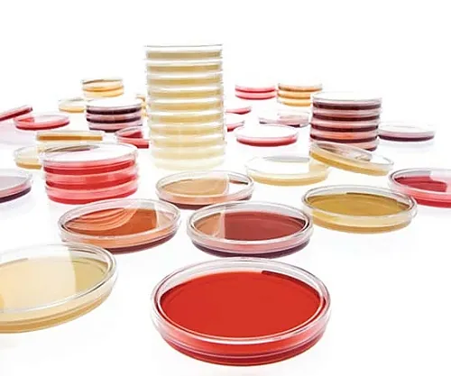 61-0191-01　Sabouraud-Dextrose-Agar -LI Acc.Ep (20) 146028 20PACK　1.46028.0020