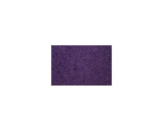 62-8482-03　QCM(TM) Leukocyte Trans***othelialMigration Assay (Colorimetric, 24 Assays)　ECM557
