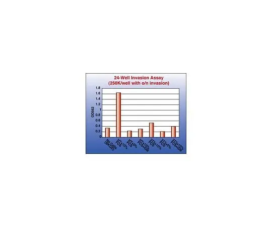 62-8481-97　QCM Collagen Cell Invasion Assay, Colorimetric; 1 plate　ECM551