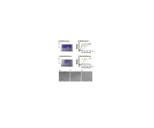 62-8481-94　ECM Cell Culture Optimization Array (Colorimetric, 48-Wells)　ECM542