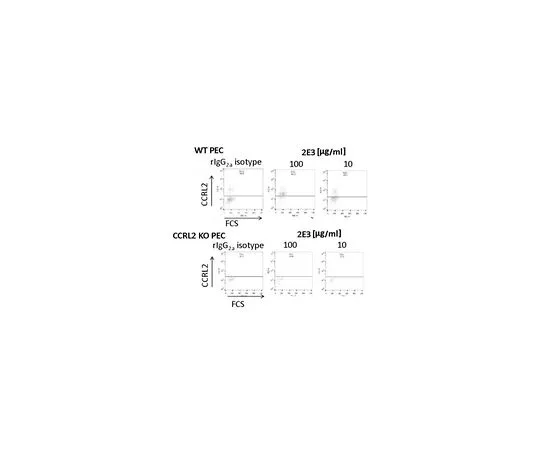 62-8513-29　Anti-CCRL2 (Mo***) Antibody, clone BZ2E3　MABF1033