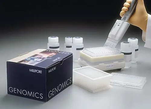 61-0209-03　Plasmid Miniprep-96 Kit W/4 x 96 Minipreps 1SET　LSKP09604
