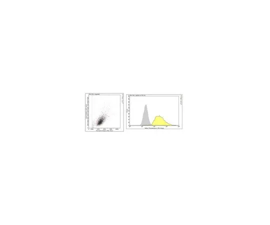 62-8526-97　Anti-alpha-Actin Antibody, Cardiac Muscle Antibody, clone 22D3　MABT823