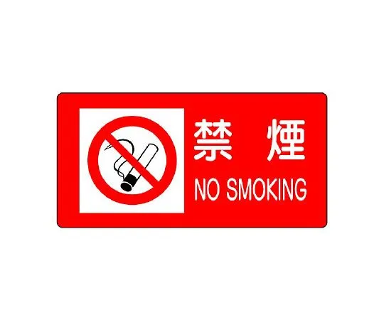 62-6139-99　Non Smoking　828-97