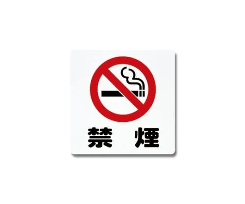 61-7420-68　No Smoking 300mm x 300mm x 1mm　PH3030-10