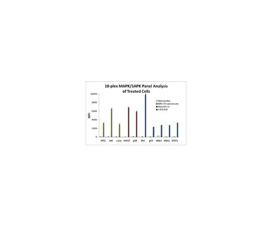 62-8538-73　MILLIPLEX MAP MAPK/SAPK Signaling 10-Plex Kit　48-660MAG