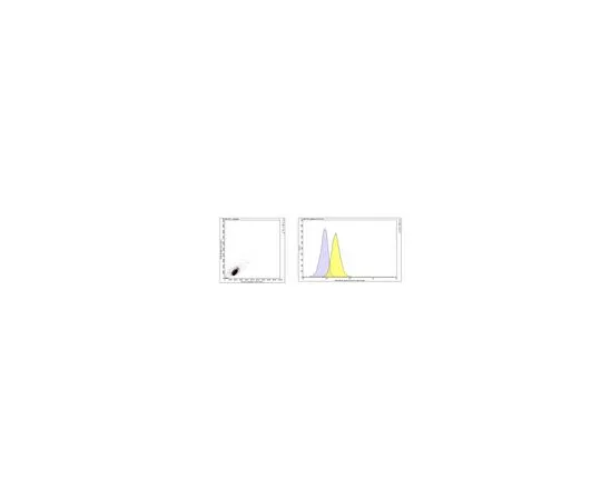 62-8527-16　Anti-TACE Antibody, clone D1(A12)　MABT884