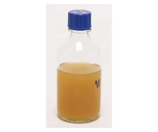 61-0191-69　Sabouraud Dextrose Agar W. Chloramphenicol Acc.Ep 200mL(6) 146394 6Pcs　1.46394.0006