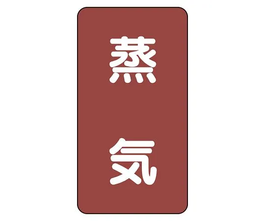 62-6125-99　JIS Piping Identification Sticker AST Type Steam (Medium) 1 Set (10 Pieces)　AST-2L