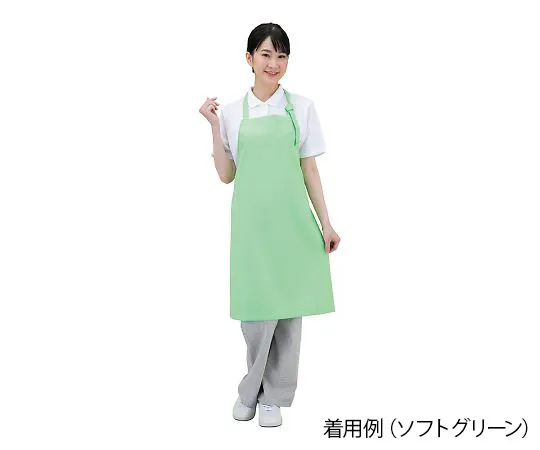 7-779-01　Antiviral Apron Dr. EarthR Neck Hanging Off White　E3500-0