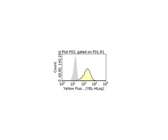62-8513-25　Anti-CXCR4 Antibody, clone 12G5　MABF981