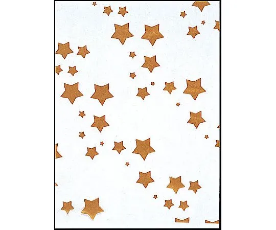 62-6656-07　SK Bag Star (100 Pieces)　No.5