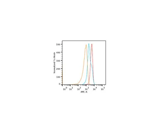 62-8517-47　Anti-DOCK8 Antibody, clone 10C3.2　MABN353