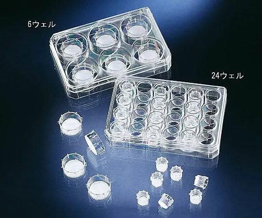 2-3866-01　Cell Culture Insert　140640