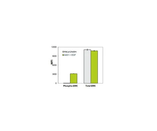 62-8538-59　MILLIPLEX MAP 2-Plex Total/Phosph ERK MAG Kit　48-619MAG