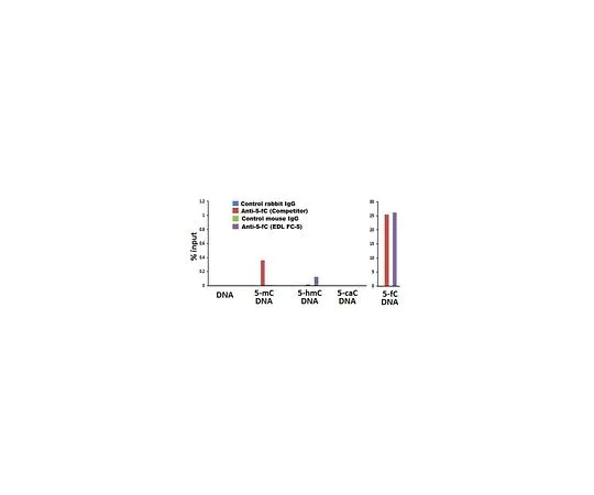 62-8508-40　Anti-5-Formylcytosine (5fC) Antibody, clone EDL FC-5　MABE1092