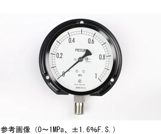 65-4289-32-20　Normal Pressure Gauge (Φ100) Vertical B Frame with 0.25 MPa Inspection Certificate　AE20-283