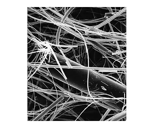 61-0190-40　Glass Fiber Disc W/Binder AP25 22mm 100/Pk 100PK　AP2502200