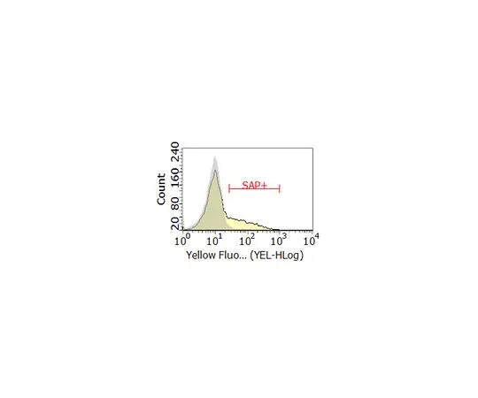 62-8512-96　Anti-SAP/SH2D1A Antibody, clone 1A9　MABF920