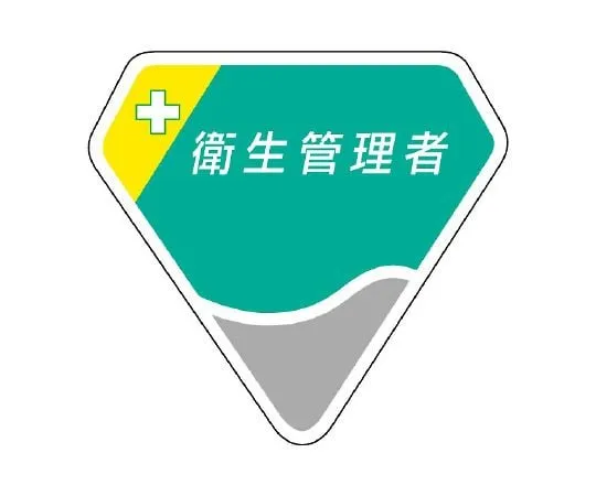 62-6109-88　Head of Safety and Health　849-04