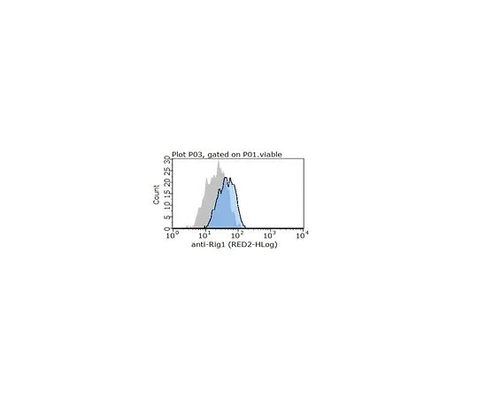 62-8509-57　Anti-RIG1, clone 42　MABF284