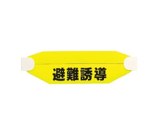 62-6092-21　Helmet Sign (Combined Type) Evacuation Guidance　377-541