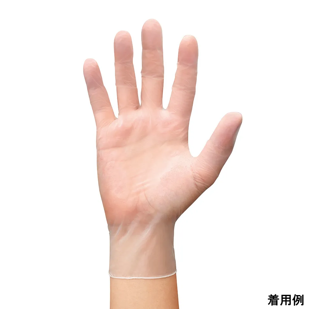 66-0011-31　Vinyl Gloves XS 100 Pieces　809-XS