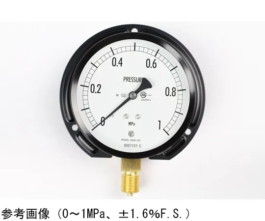 65-4287-48　Normal Pressure Gauge (Φ100) Vertical B Frame for Steam 0.1 MPa　AE20-231