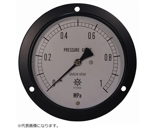 67-4848-12　IPT General Pressure Gauge DU3/8-100:1MPA　0354-02-0040730