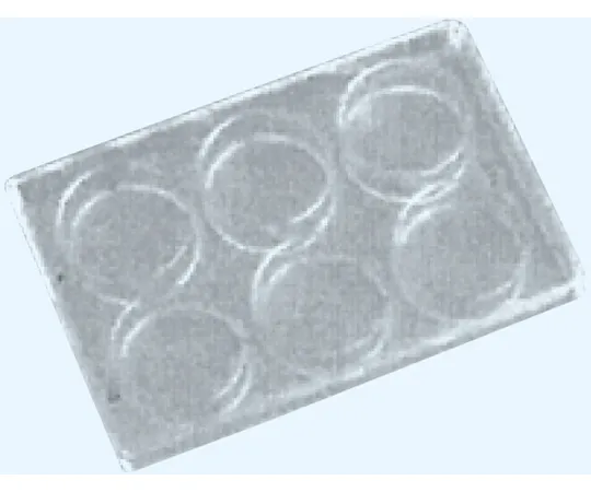 65-8686-82　Glass Microplate 6-Hole Borosilicate Glass (JR-1)　B-3
