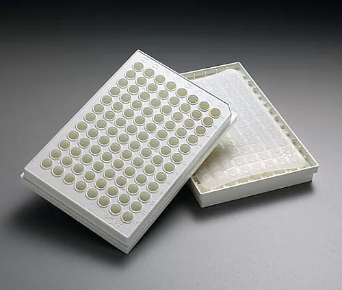 61-0211-22　Multiscreen HTS DV 0.65μm Opaque Non-Sterile 50/Pk 50PK　MSDVN6B50