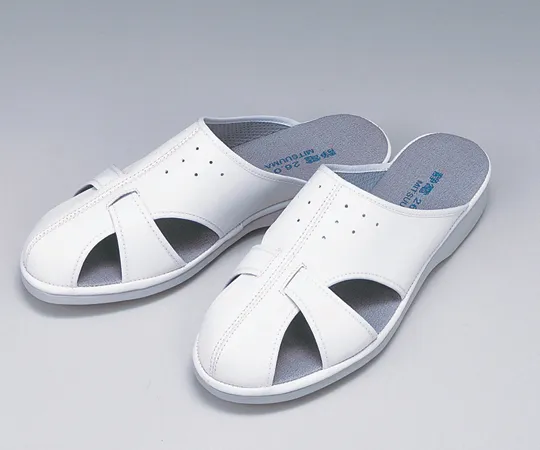 64-8903-64　Electrostatic Slippers P-02N White LL　602080LL