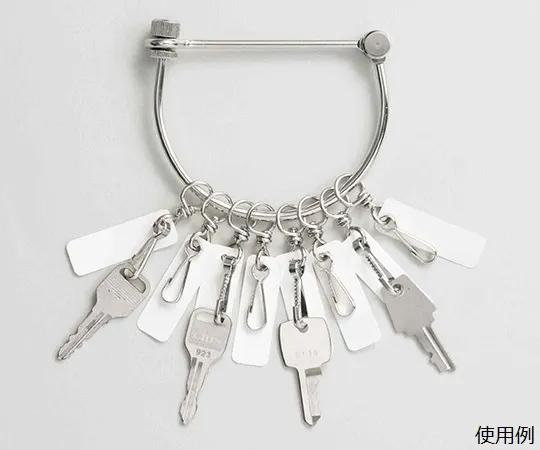 62-6112-41　With 12 Key Hanger Snaps　860-611