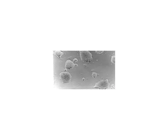62-8482-68　ESGRO(R) (LIF); 106 units　ESG1106