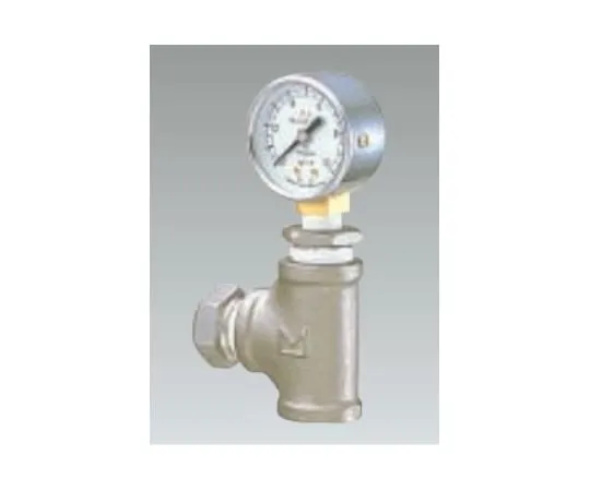 65-0569-49　Pressure gauge 0 ~ 0.25 MPa　CA-P2