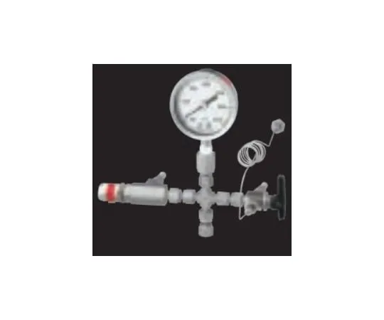 65-0575-69　On head section (Pressure gauge - 100/0/2400 kPa, with relief valve, ball valve)　HIP-HEAD2