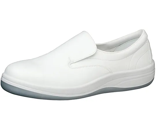 64-8053-41　JIS Standard, Women's Antistatic Safety Shoes, White 22.0 cm LSCR1200-22.0　LSCR1200-22.0