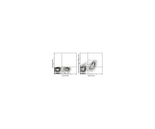 62-8514-43　Anti-F4/80 (mo***), APC, clone BM8.1 Antibody　MABF1524