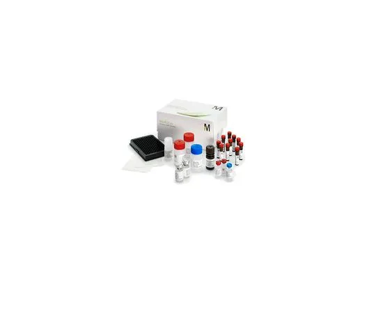 62-8538-61　MILLIPLEX MAP 2-Plex Phospho/Total JNK MAG Bead Kit　48-622MAG