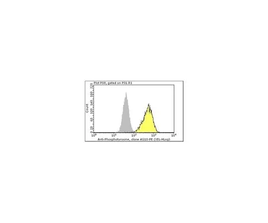 62-8485-13　Milli-Mark(TM) Anti-Phosphotyrosine-PE, recombinant clone 4G10R; 100 tests　FCMAB323PE