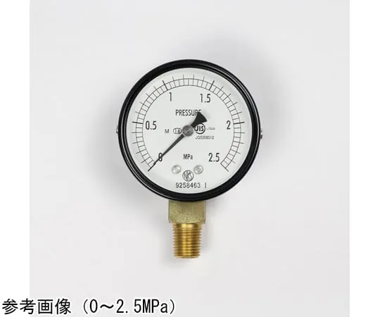 65-4269-88-20　Normal Pressure Gauge (Φ60) Vertical A Frame for Steam with 1 MPa Inspection Certificate　AA10-171
